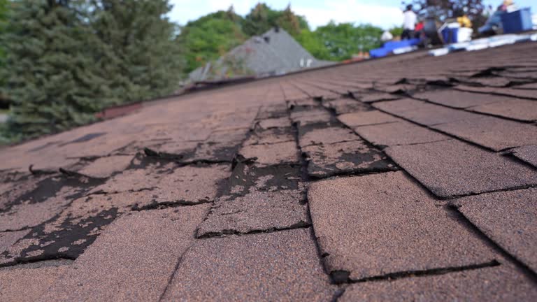 Best Gutter Installation and Repair  in Liberty Hill, TX